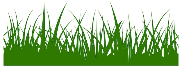 Bandera de hierba. Diseño de borde sin costuras. Planta de césped natural aislado sobre fondo blanco.