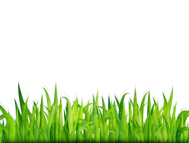 Bandera de hierba verde Contexto vectorial