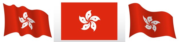 Vector bandera de hong kong en posición estática y en movimiento ondeando en el viento en colores y tamaños exactos sobre fondo blanco.