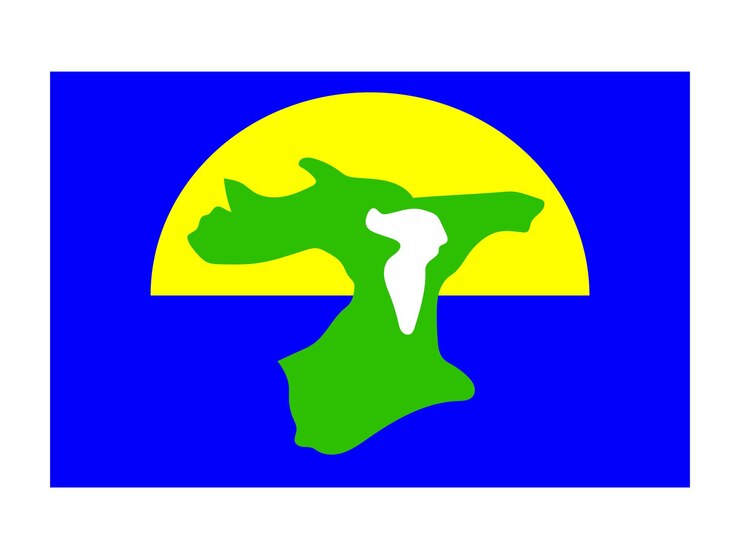 Vector bandera de las islas chatham bandera mundial icono bandera nacional oficial bandera internacional
