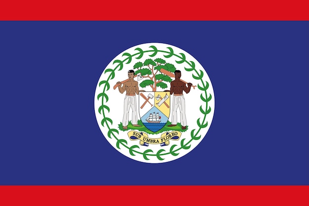 Vector bandera nacional de belice