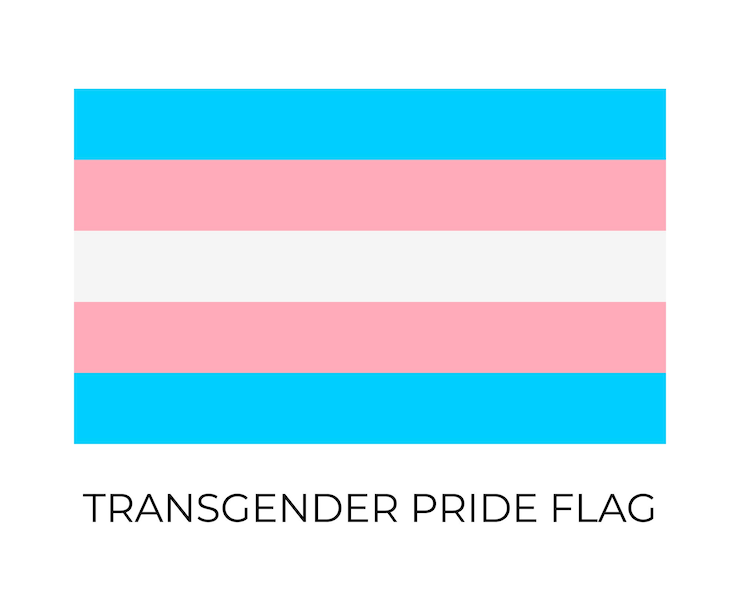 Vector bandera del orgullo transgénero símbolo de la comunidad lgbt identidad sexual de la bandera vectorial plantilla fácil de editar para pancartas, carteles, diseño de logotipos, etc.