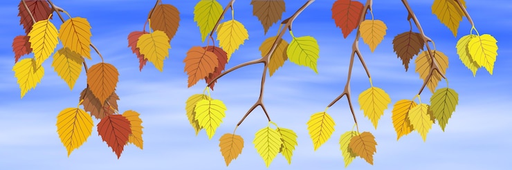 Vector bandera de otoño brillante, rama de abedul otoñal sobre fondo de cielo, ilustración vectorial