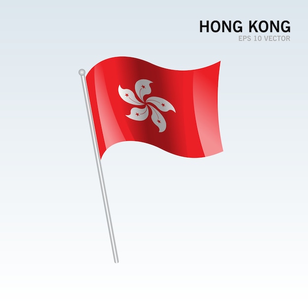 Bandera que agita de Hong Kong aislada en fondo gris