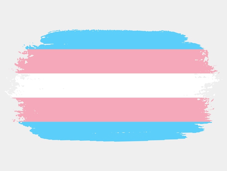 Vector bandera transgénero pintada con pincel sobre fondo blanco concepto de derechos lgbt