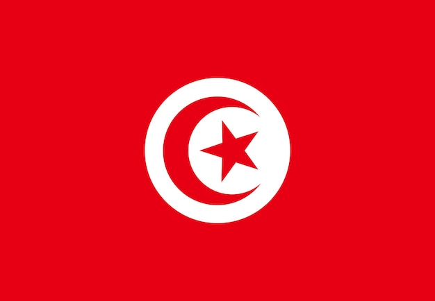 Bandera de Túnez Pincel de bandera de Túnez Bandera de Túnez con textura grunge