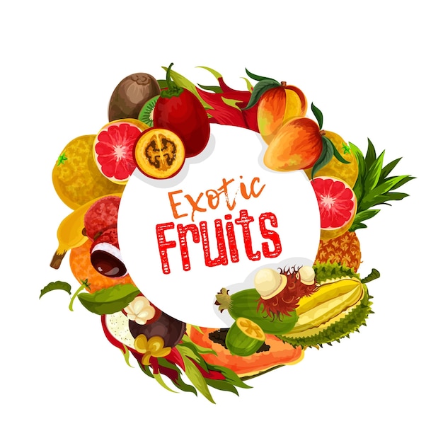 Bandera de vector de frutas tropicales exóticas