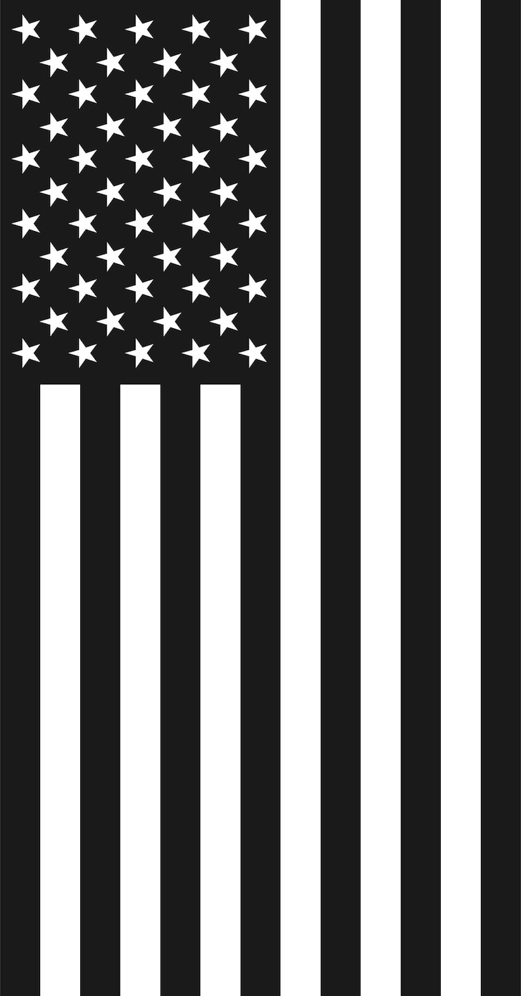 Vector bandera vertical estadounidense negra y blanca