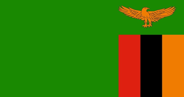 Bandera de zambia en vector