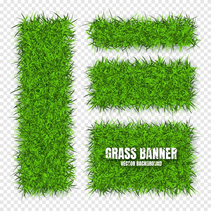 Vector banderas de hierba verde fondo campo texturas de prado paisaje herboso orgánico bio eco y natural