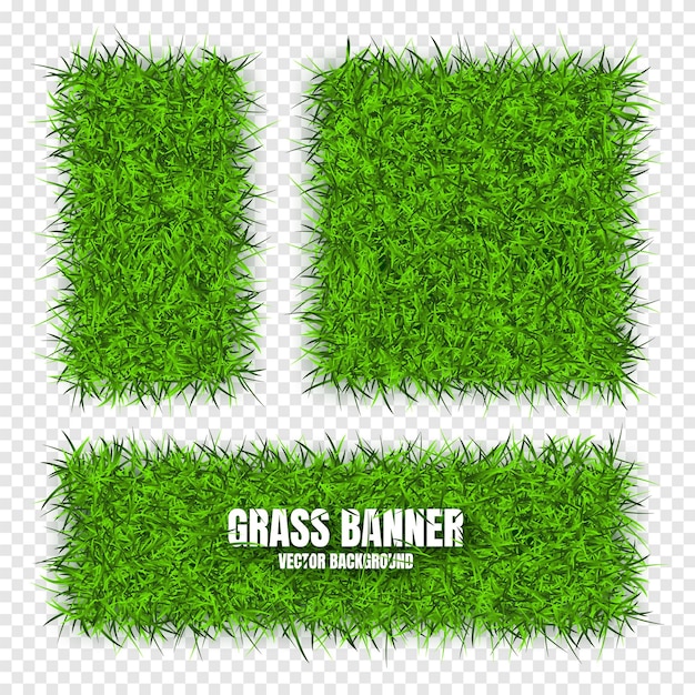 Banderas de hierba verde fondo campo texturas de prado paisaje herboso orgánico bio eco y natural