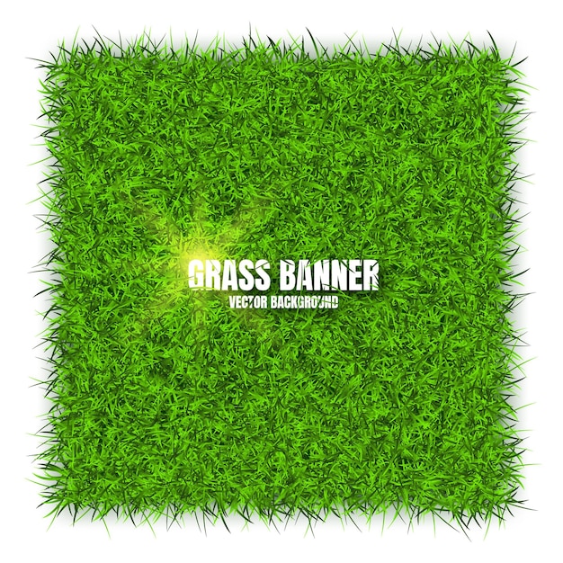 Banderas de hierba verde fondo campo texturas de prado paisaje herboso orgánico bio eco y natural
