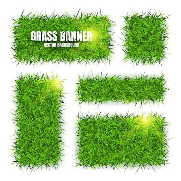 Banderas de hierba verde fondo textura de prado de campo paisaje herboso elementos de diseño de estilo de vida bio-ecológico y natural ecología y protección del medio ambiente ilustración vectorial