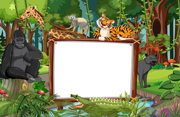 Banner en blanco en la escena de la selva tropical con animales salvajes