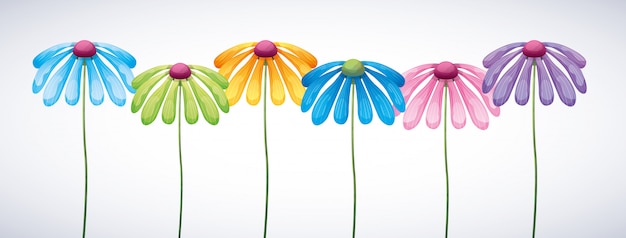 Banner de colores de flores