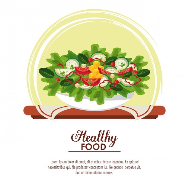 Vector banner de comida sana ensalada deliciosa