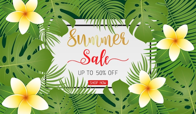 Vector banner de concepto de venta de verano para promoción de descuento con flor de plumeria y hojas tropicales