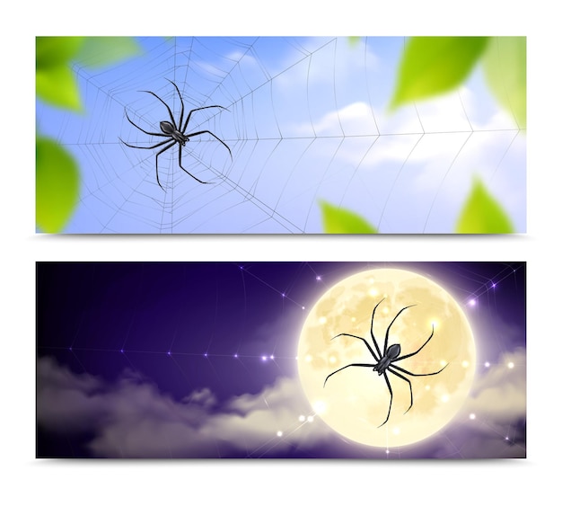 Vector banner de dos arañas negras horizontales y realistas con arañas tejiendo telarañas día y noche