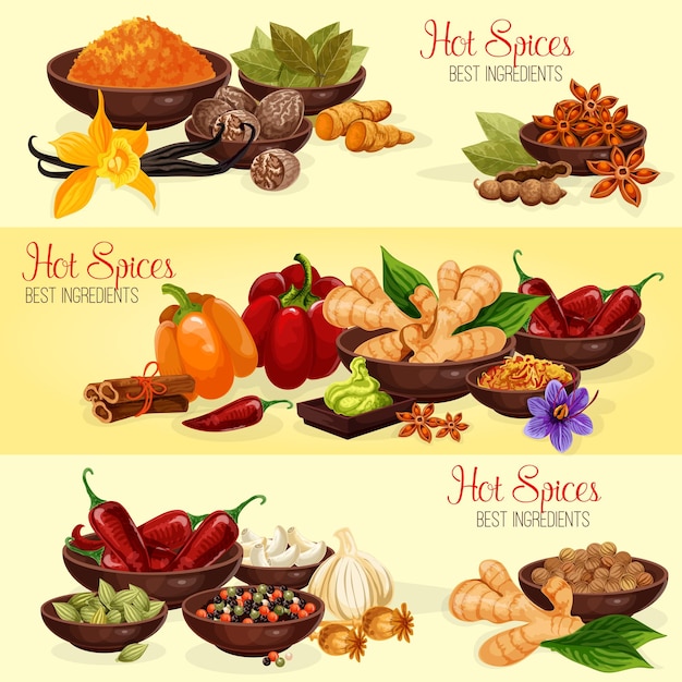 Banner de especias picantes de ingredientes alimentarios naturales.