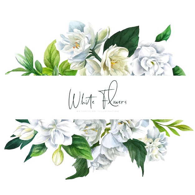 Banner con flores blancas vector dibujado a mano