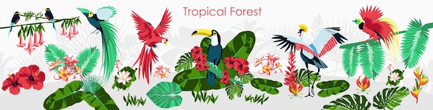 Banner horizontal de bosque tropical