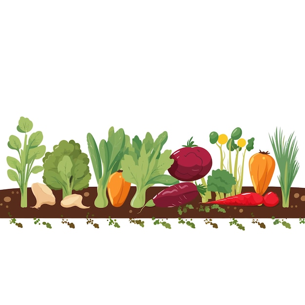 Vector banner horizontal hecho de verduras simples estilo vector plano sobre fondo blanco