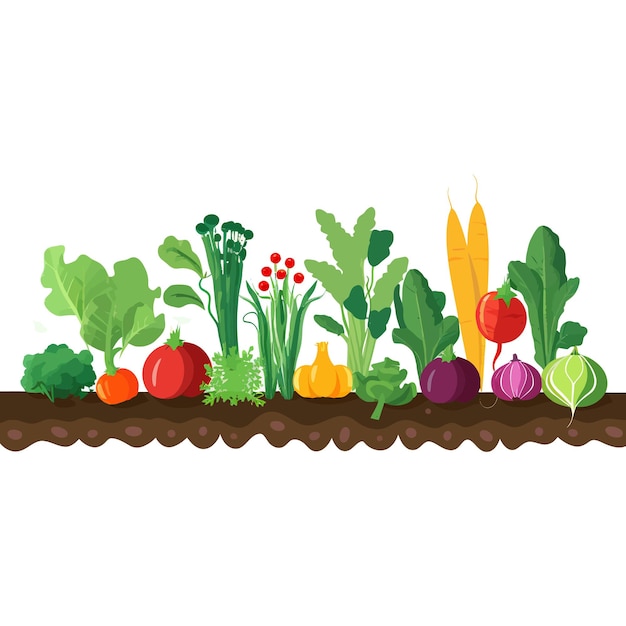 Vector banner horizontal hecho de verduras simples estilo vector plano sobre fondo blanco