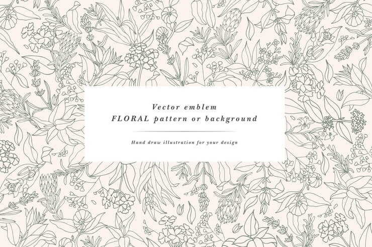 Banner de ingredientes de perfumería y cosmética dibujado a mano. Fondo decorativo con plantas aromáticas vintage, frutas, especias, hierbas para perfumería. Plantilla de diseño de cosméticos orgánicos. Folleto de plantas aromáticas