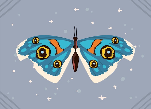 Banner con mariposa mística