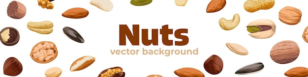 Vector banner de nueces plantilla de nueces estilo plano