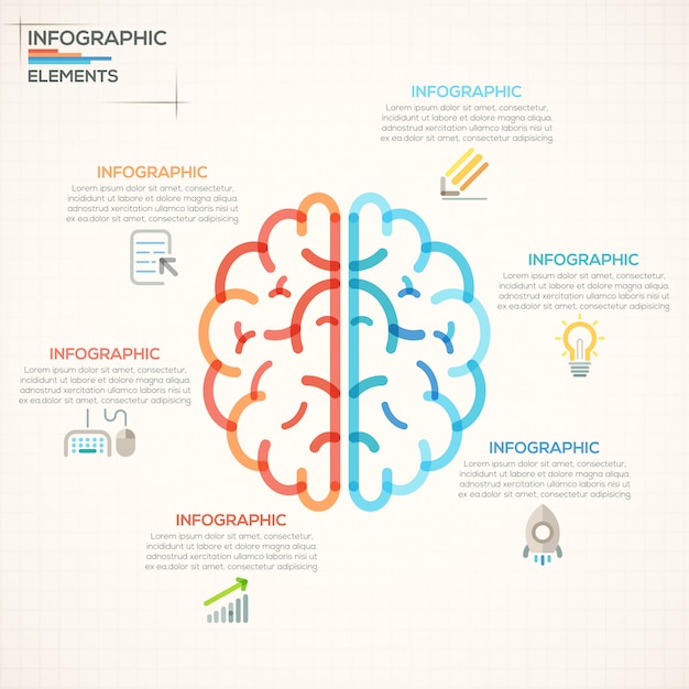 Banner de opciones de infografías modernas