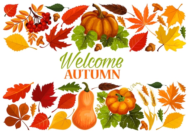 Banner de otoño con borde de calabaza de hoja de otoño