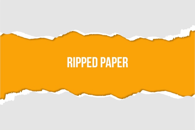 Vector banner de papel rasgado con espacio de texto