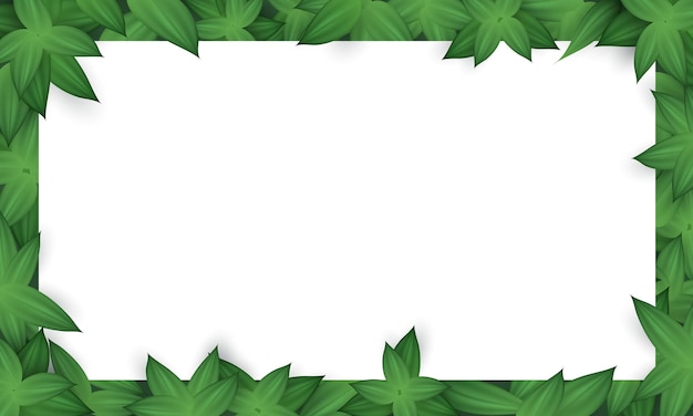 Vector banner con patrón de hojas verdes realistas y espacio en blanco para texto marco de póster botánico