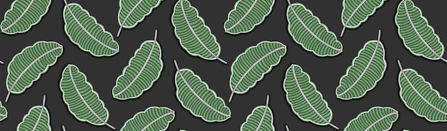 Banner de patrón de superficie de hojas dibujadas a mano sin costuras