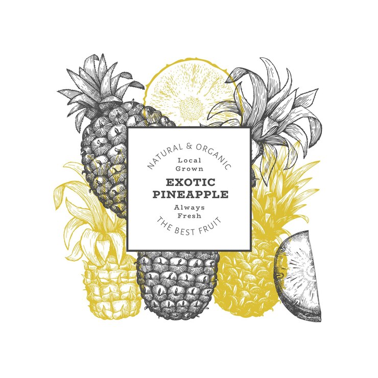 Vector banner de piña de estilo boceto dibujado a mano ilustración de vector de fruta fresca orgánica plantilla de diseño botánico de estilo grabado