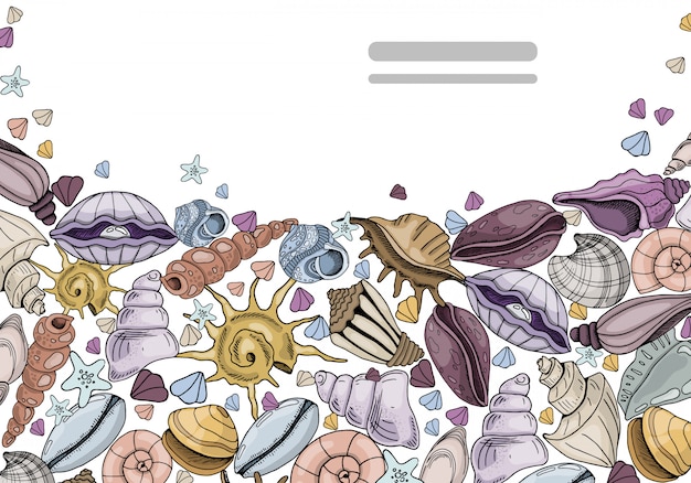 Banner de vector con conchas