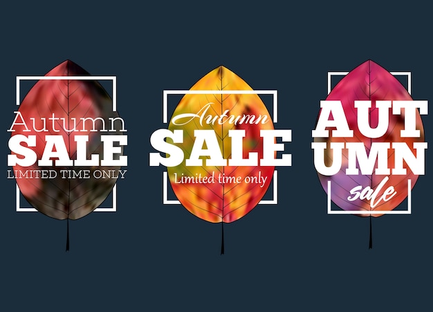 Banner de venta con coloridas hojas de otoño estacionales. Promoción de descuento comercial.