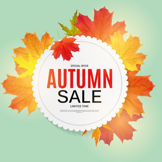 Banner de venta de hojas de otoño brillante. Tarjeta de descuento comercial. Ilustración