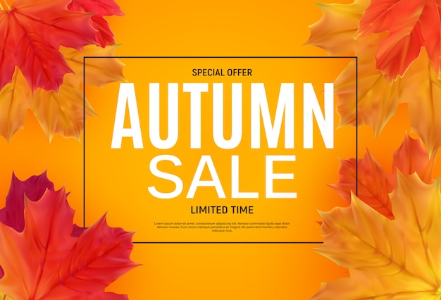 Banner de venta de hojas de otoño brillante. Tarjeta de descuento comercial