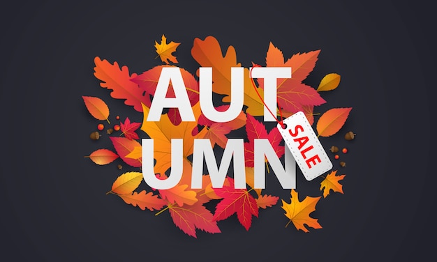 Vector banner de venta otoño con hojas caídas