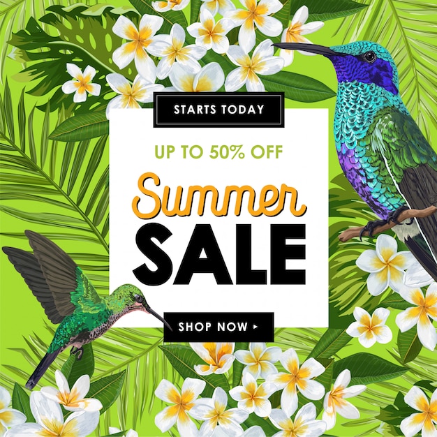 Vector banner de venta de verano con flores y colibríes