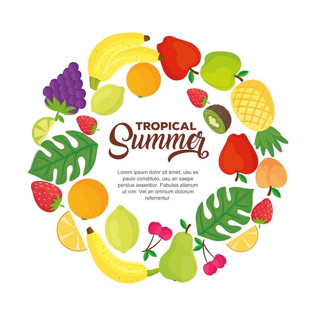 Banner de verano tropical, con marco redondo de frutas frescas