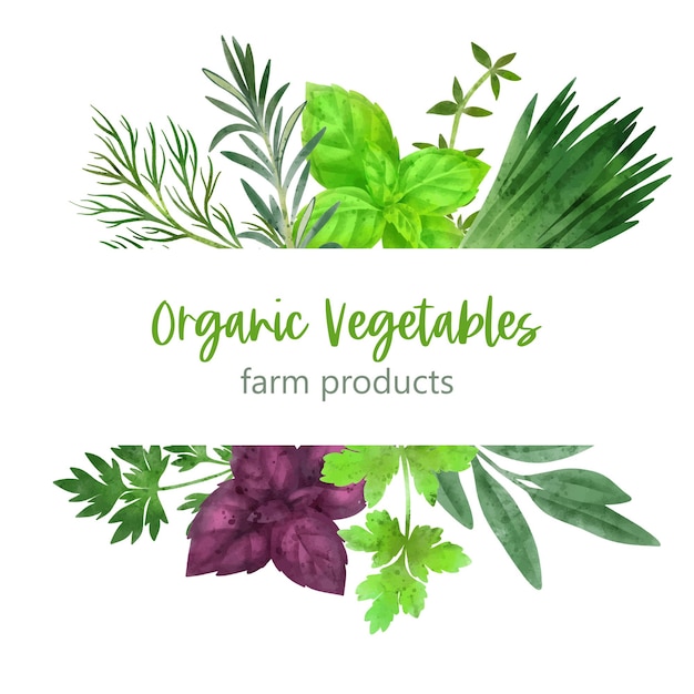 Vector banner de verduras de verano dibujado a mano ilustración acuarela