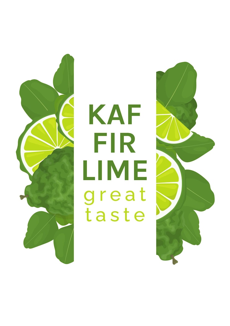 Vector banner web de lima kaffir o bergamota folleto horizontal o pantalla para promoción