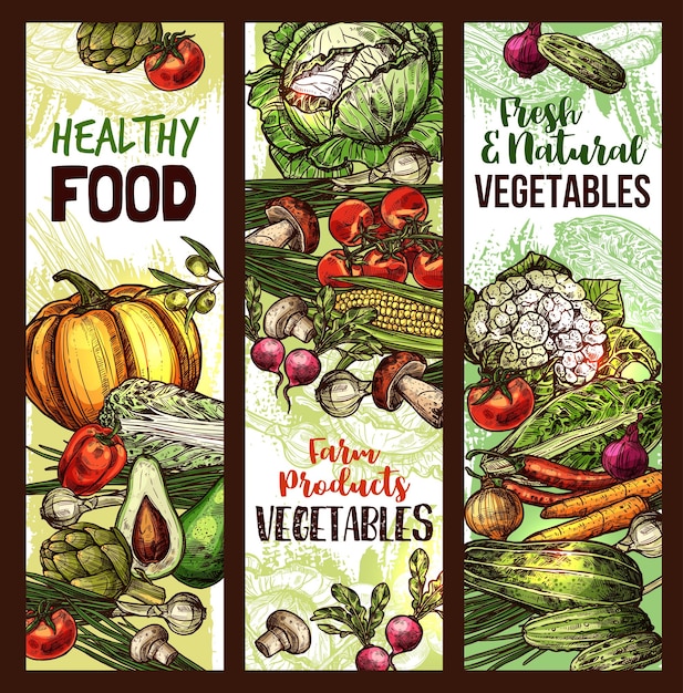 Banners de boceto de verduras y verduras vectoriales