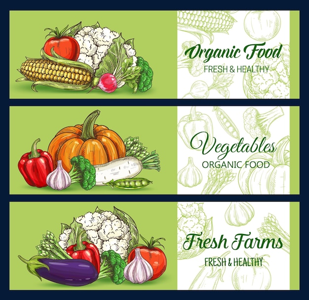 Vector banners de bosquejo verde de verduras de alimentos de granja