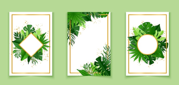 Vector banners botánicos con hojas tropicales. ilustración de diseño