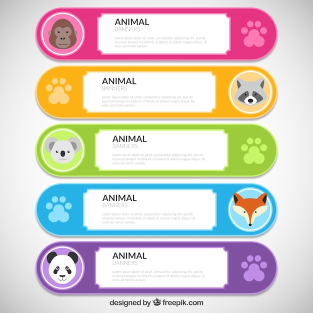 Banners de colores y lindos con animales