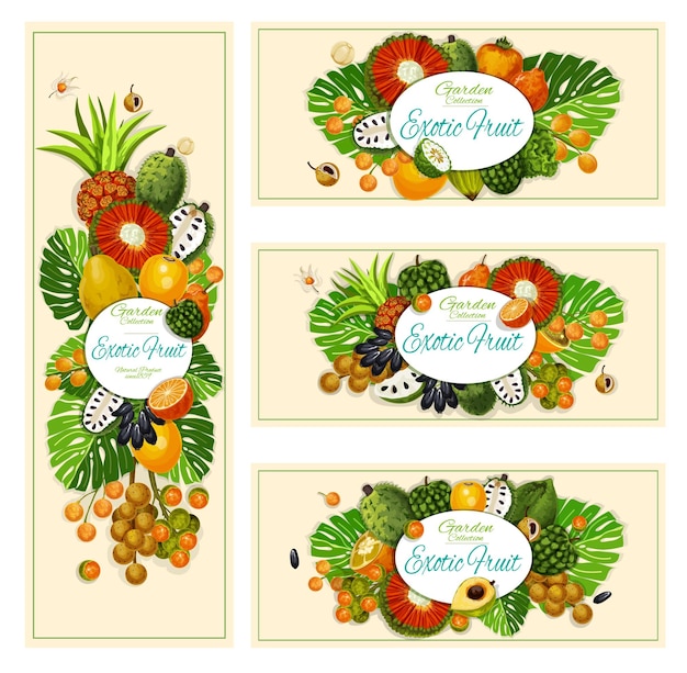 Banners de cosecha de frutas tropicales exóticas